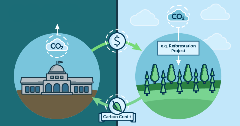 Carbon and climate planting programs