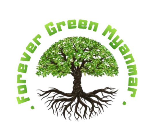 Forever Green Myanmar Co.;Ltd.
